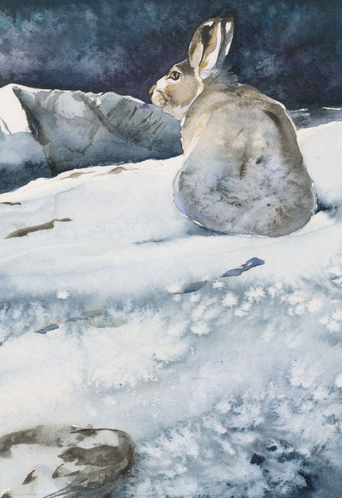 The Lost Spells: Jackie Morris watercolour illustration of a hare in a snowy winter landscape with dark blue night sky