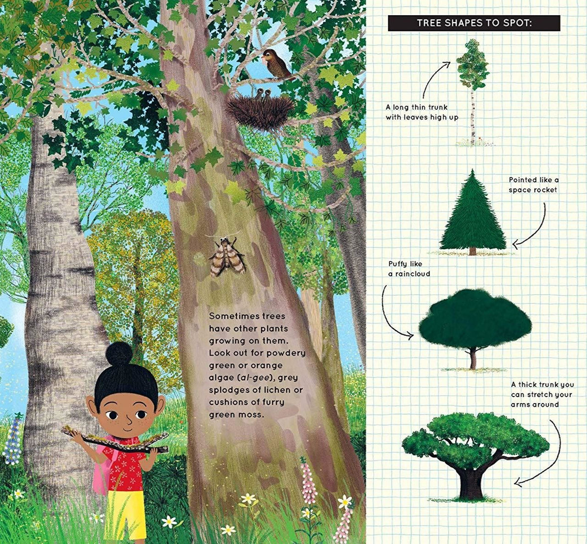 Look What I Found in the Woods interior spread showing forest illustration and Tree Shapes to Spot reference page