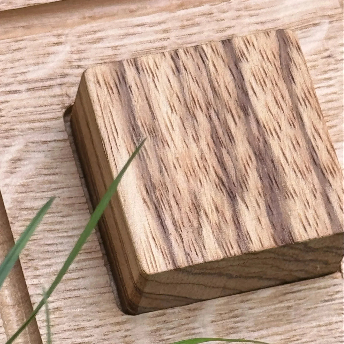 Trace & Place Zebrano shape piece showing bold striped grain, resting on limed oak surface with grass blades
