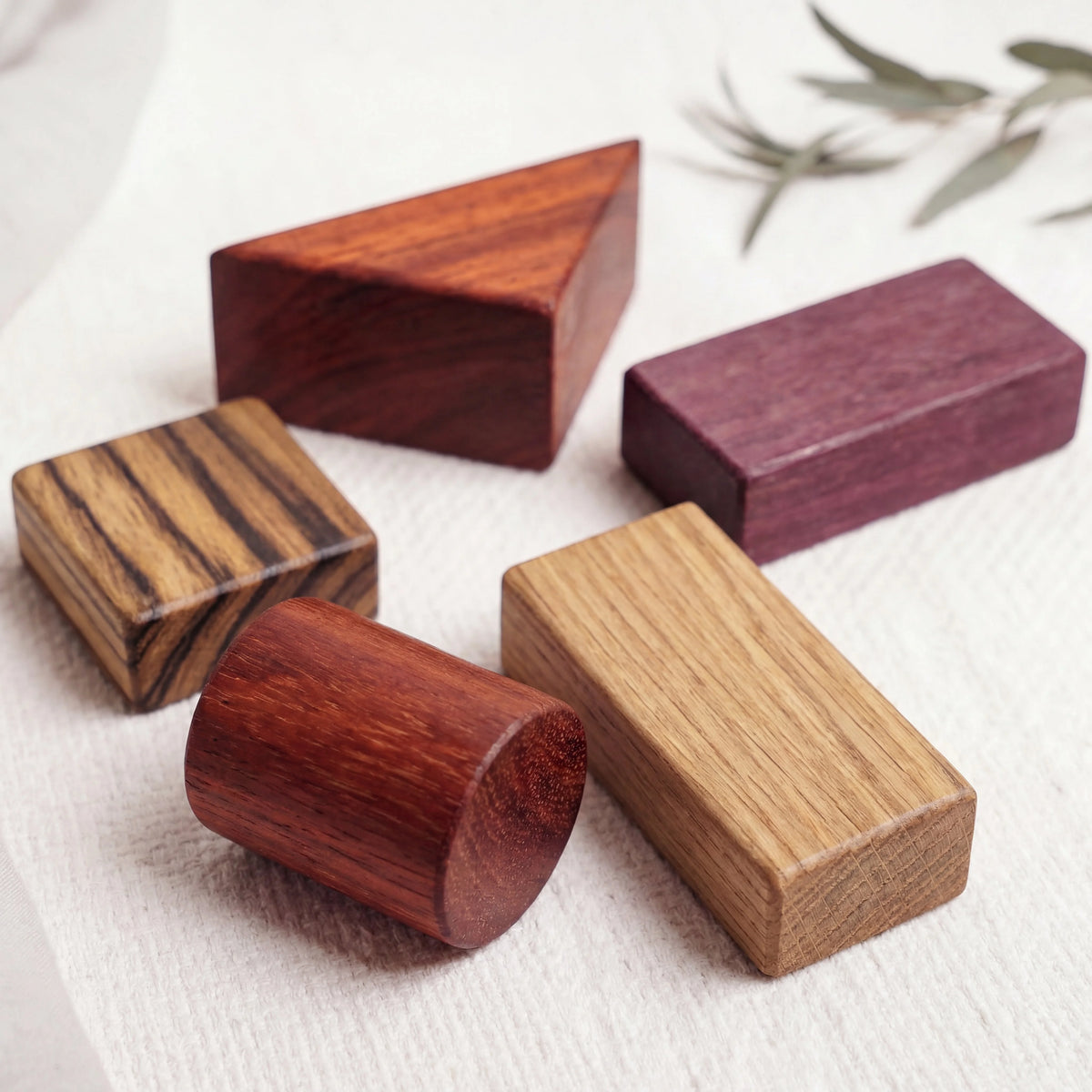 Close-up of five loose Exotic Hardwood Building Blocks on linen: Padauk coral-red, Zebrano striped, Purpleheart violet, Oak p
