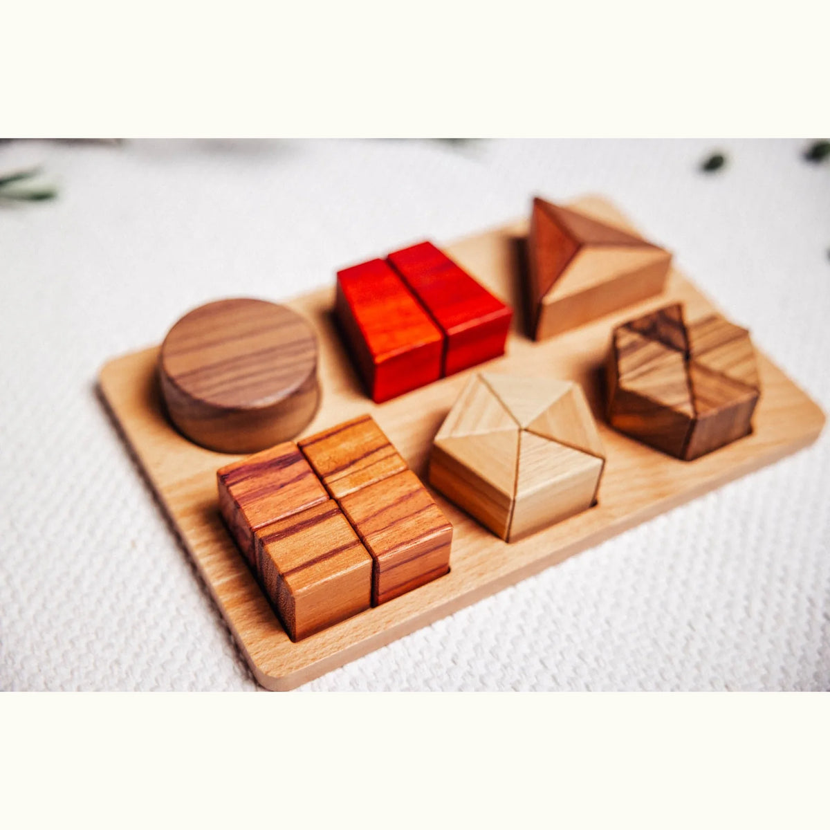 Geo Nest shape puzzle fully assembled in tray, showing walnut, padauk, tigerwood, zebrano and rubberwood pieces seated in rec