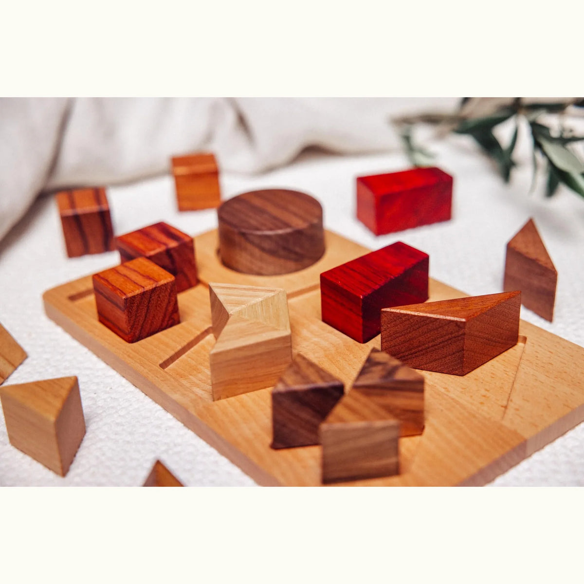 Geo Nest puzzle board partially assembled with scattered Padauk, Walnut, Tigerwood, Zebrano and Rubberwood 3D geometric block