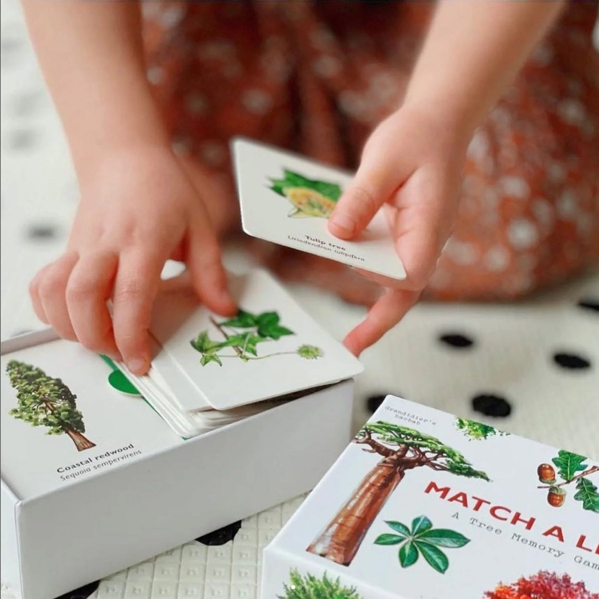 Child's hands sorting Match a Leaf Tree Memory Game cards, with Tulip tree card held up and illustrated box visible.