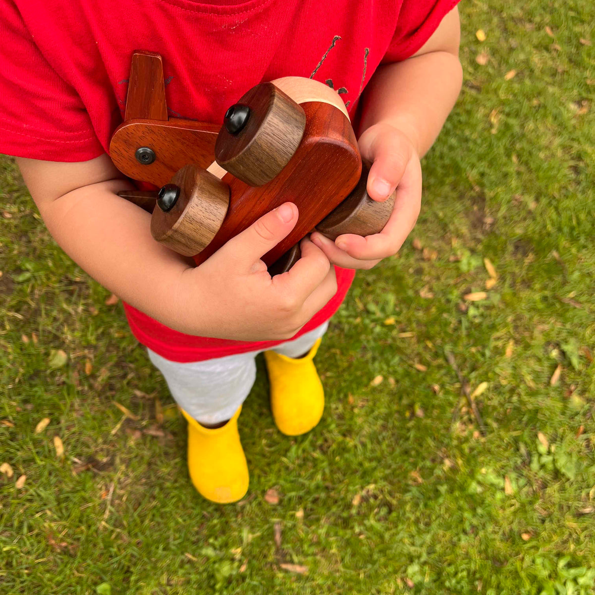 Child holding Walnut & Padauk Aeroplane outdoors on grass, showing coral-red Padauk body and dark Walnut wings in small hands