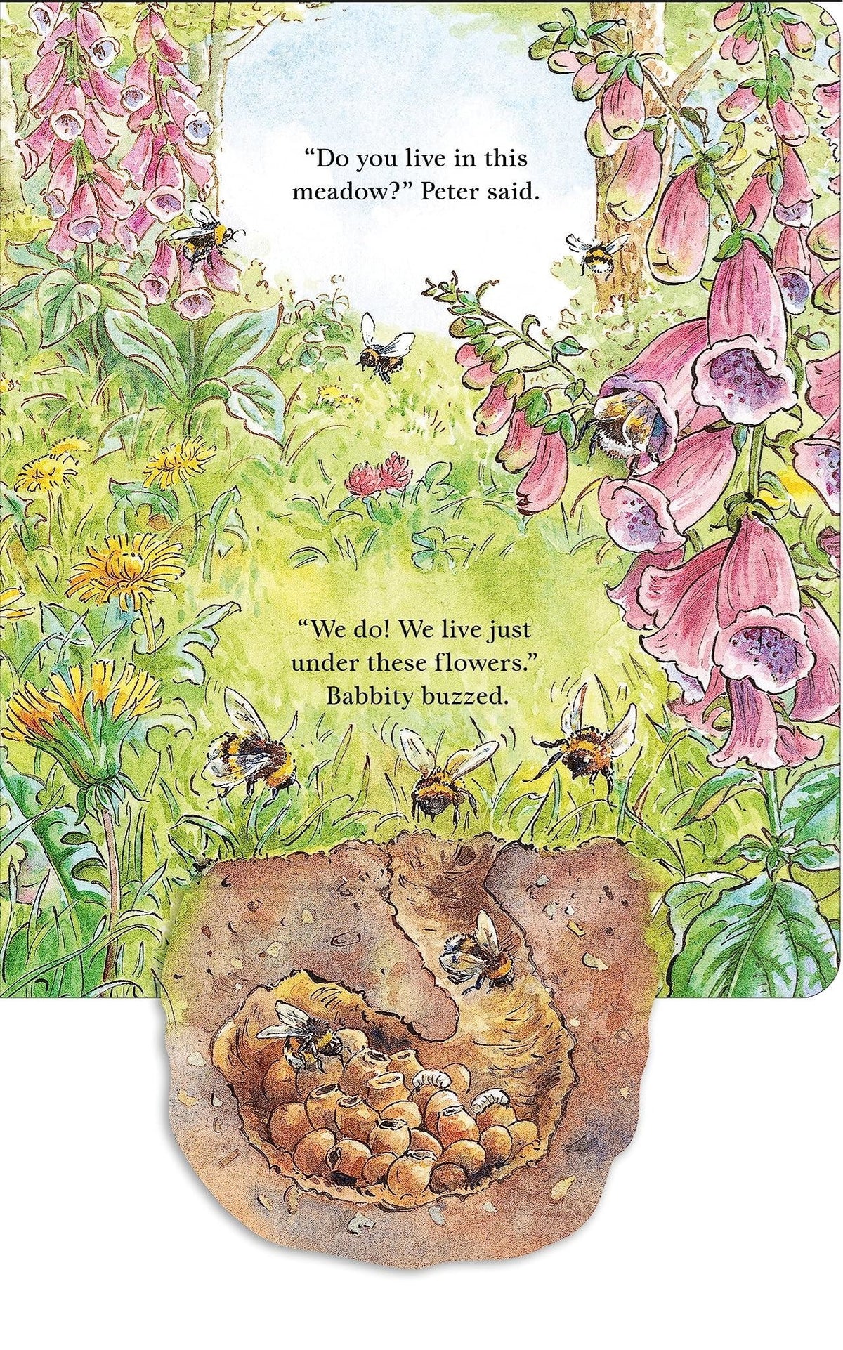 Peter Rabbit: Forest Homes a Peep Inside Tale