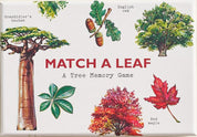 Match a Leaf: A Tree Memory Game