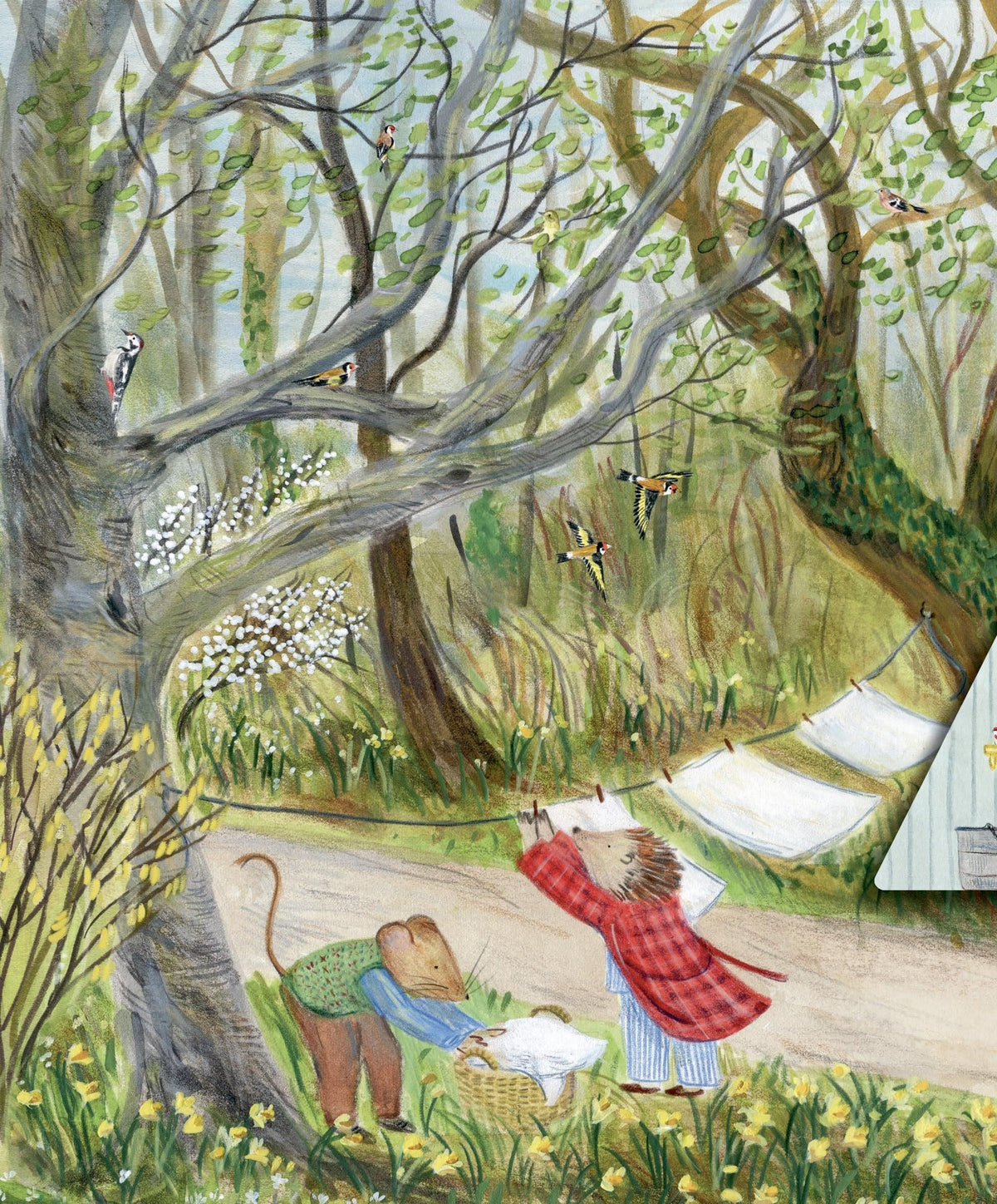 Mouse's Wood book illustration: mouse and hedgehog hanging laundry in spring woodland with goldfinches and daffodils
