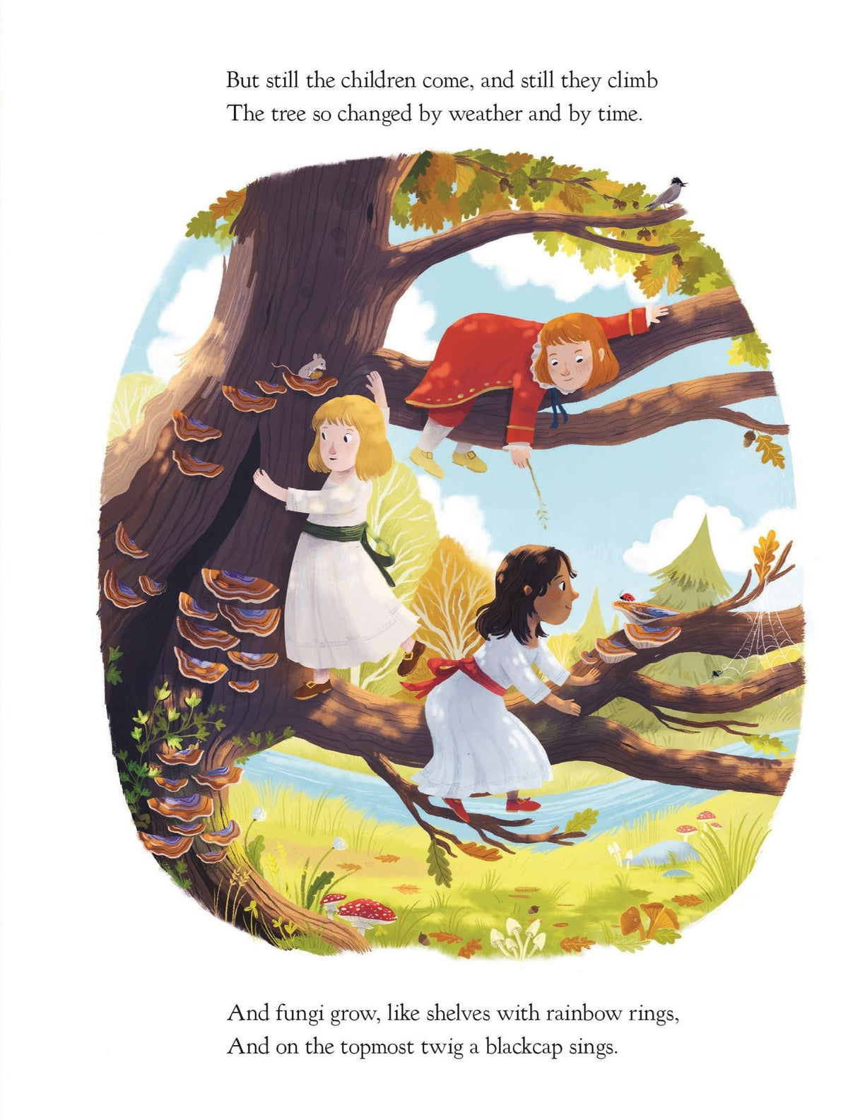 The Oak Tree book interior: illustrated spread of children climbing an ancient oak, with fungi, spider's web, and blackcap