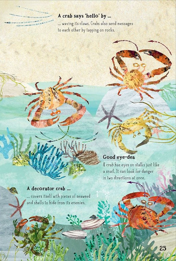 The Big Book of the Blue