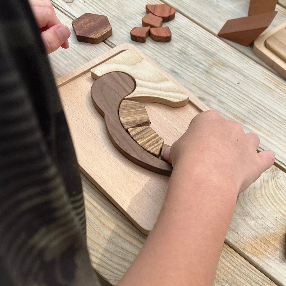 Child placing walnut shell piece onto Shelly Slow turtle puzzle, zebrano striped pieces visible inside pale beech base board
