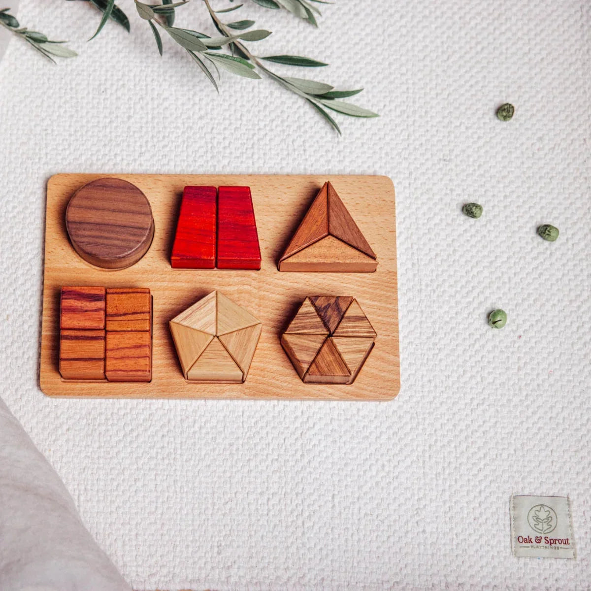 Geo Nest puzzle fully assembled, all six shapes nested in Walnut, Padauk, Tigerwood, Zebrano, Mahogany and Rubberwood base