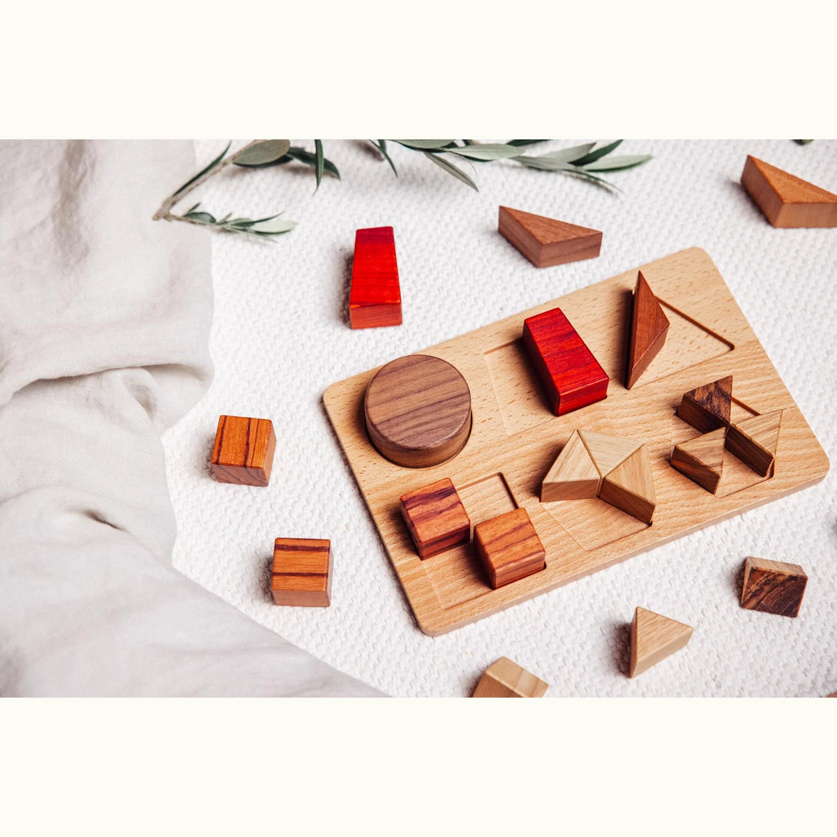 Geo Nest Shape & Fractions Puzzle partially assembled on rubberwood board, scattered padauk, walnut and tigerwood pieces on w