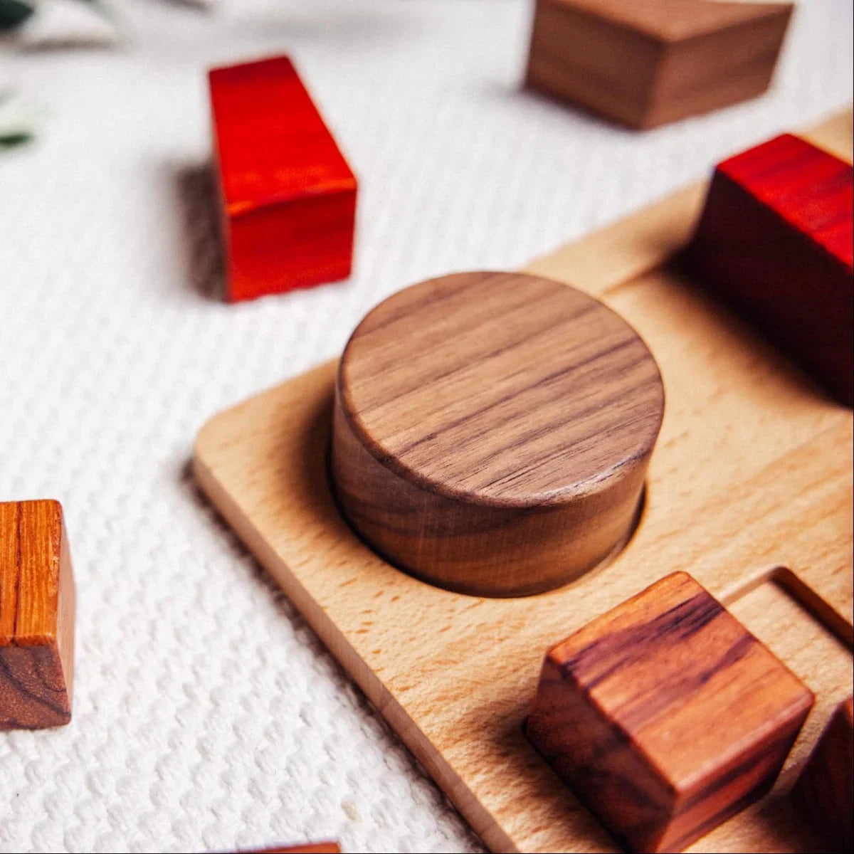 Geo Nest puzzle partially assembled showing walnut circle in rubberwood board, with loose padauk, tigerwood and mahogany piec