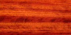 Padauk