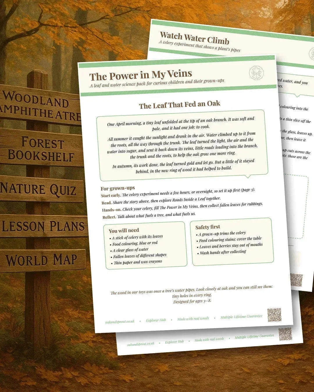 Oak & Sprout free learning resources: printed activity sheets from The Power in My Veins and Watch Water Climb science packs